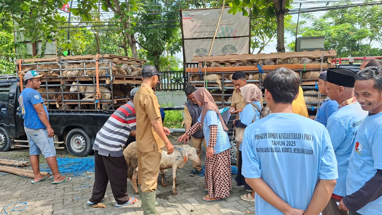 Dukung Trik Jitu Gerus Kemiskinan ! Program Domba Sejahtera Jadi Kunci Nyata