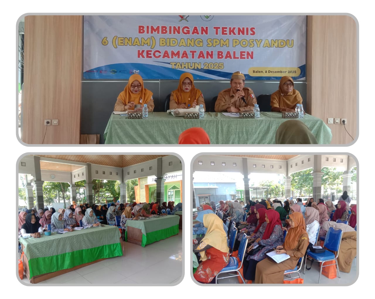Bimbingan Teknis 6 Bidang SPM Posyandu